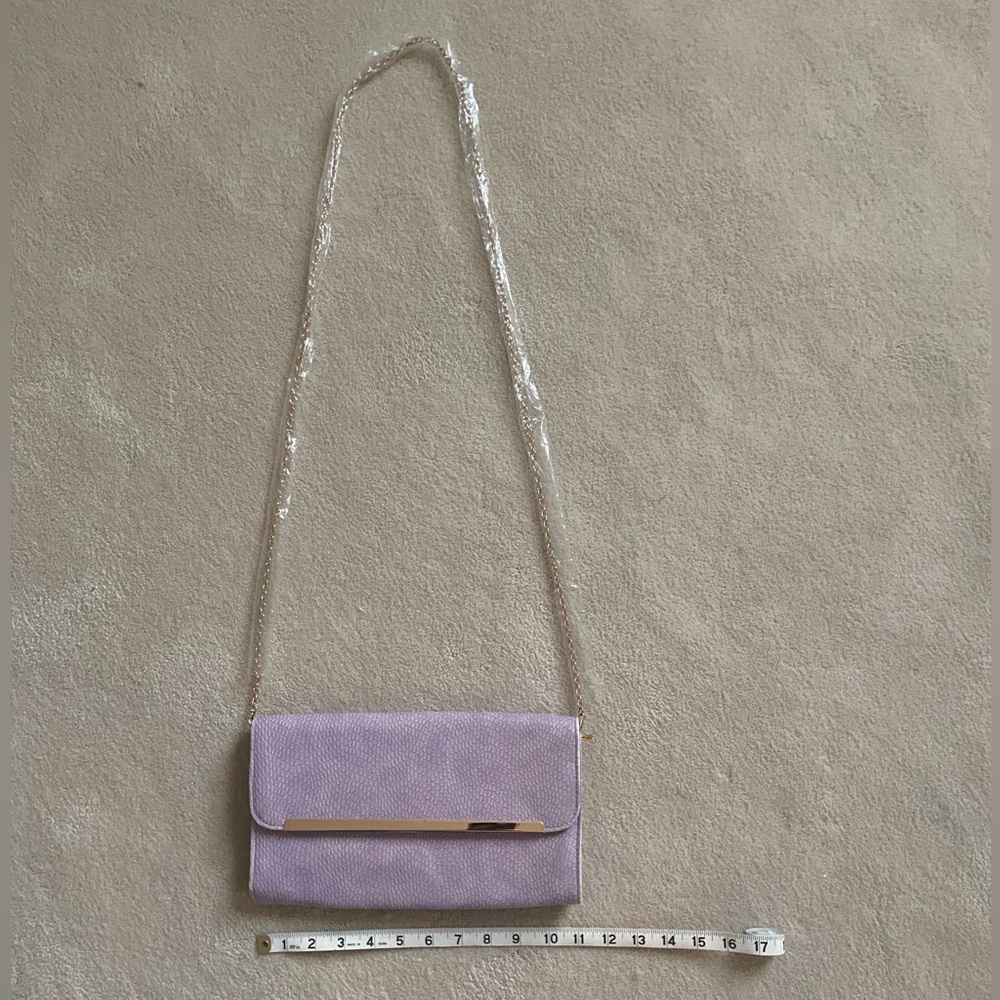 Francesca‘s metal bar snake clutch